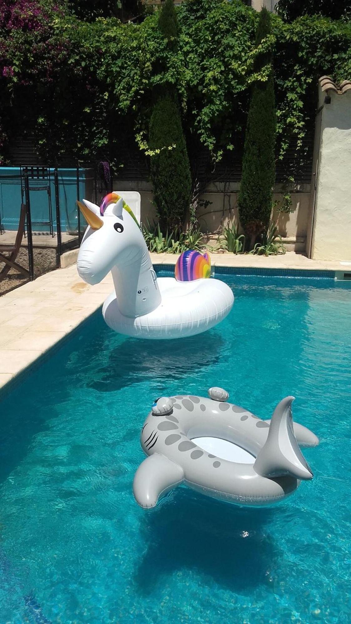 Maison Pelissier Bed And Breakfast With Sweeming Pool Cuxac-d'Aude Bagian luar foto